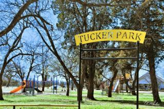 Tucker Park